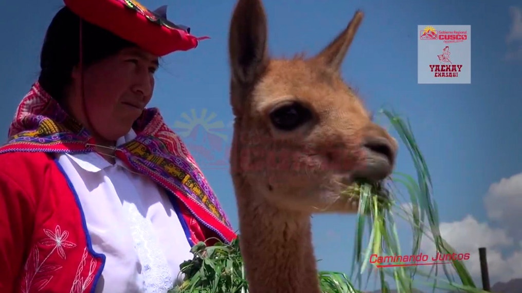 Facebook: Así es el himno nacional del Perú en quechua