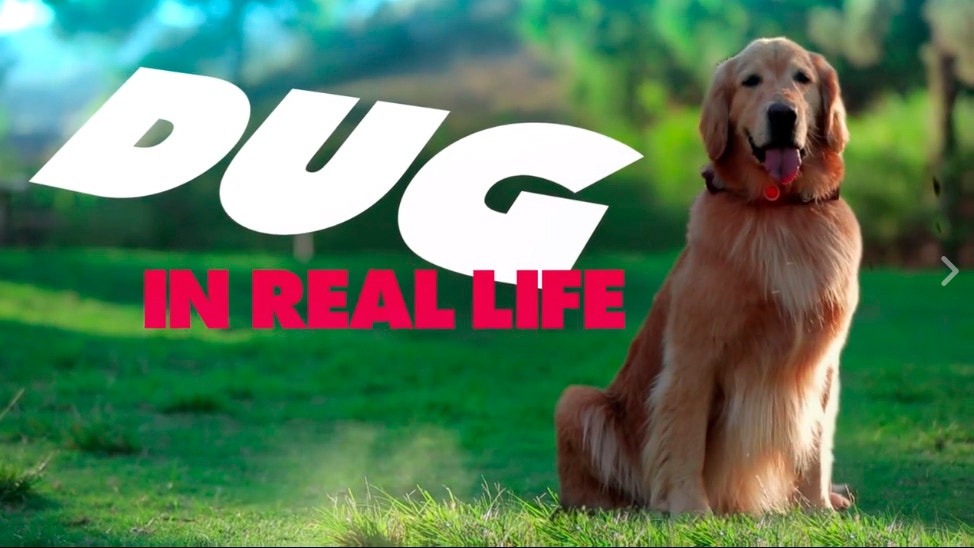 Facebook: ¿cómo sería Dug de la película 'UP' en la vida real?
