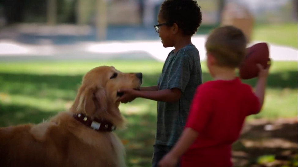 Facebook: ¿cómo sería Dug de la película 'UP' en la vida real?