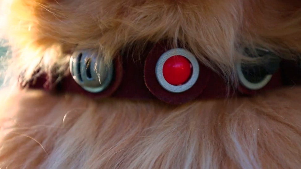 Facebook: ¿cómo sería Dug de la película 'UP' en la vida real?