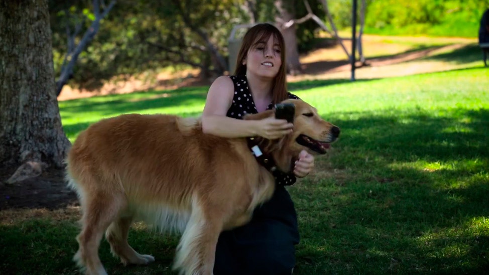 Facebook: ¿cómo sería Dug de la película 'UP' en la vida real?