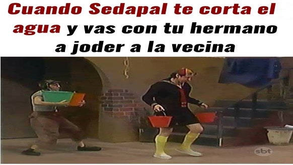 Memes