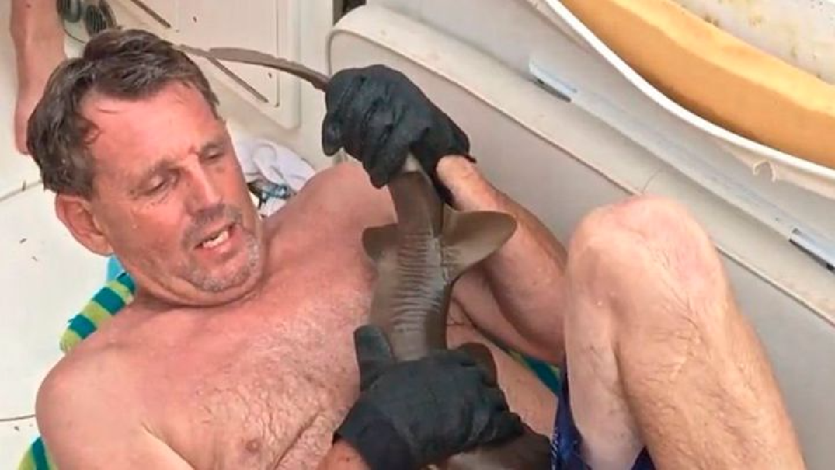 YouTube: Tiburón bebé mordió a un hombre en el lugar menos pensado