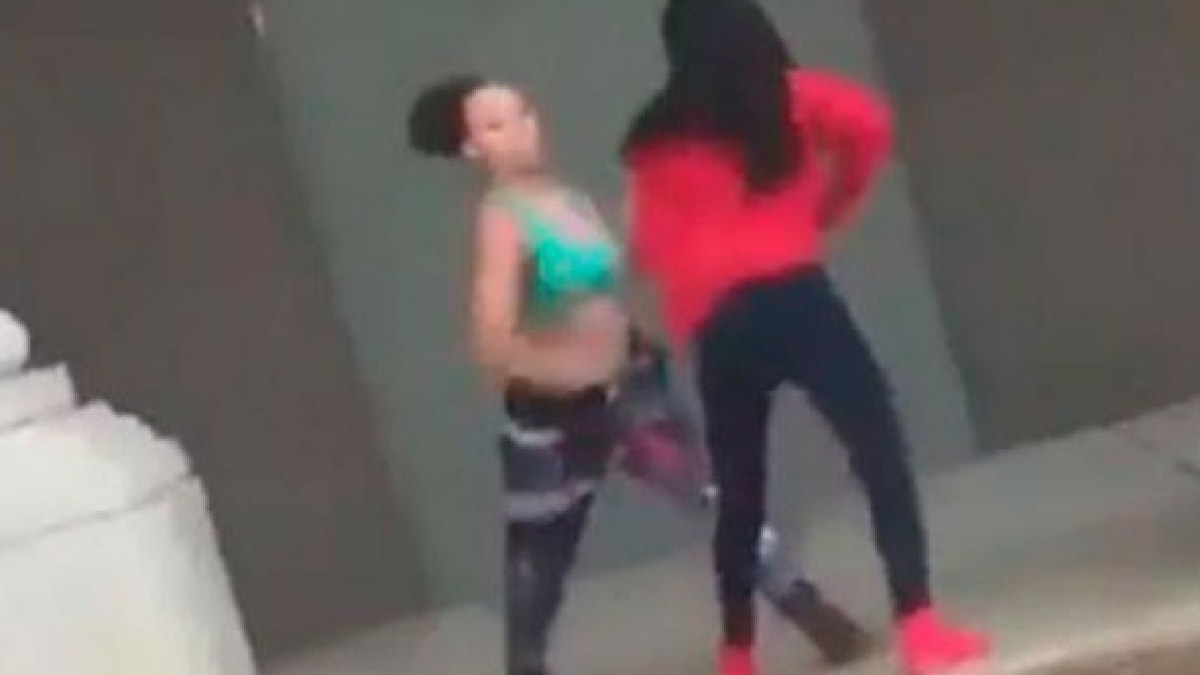 Pelea viral